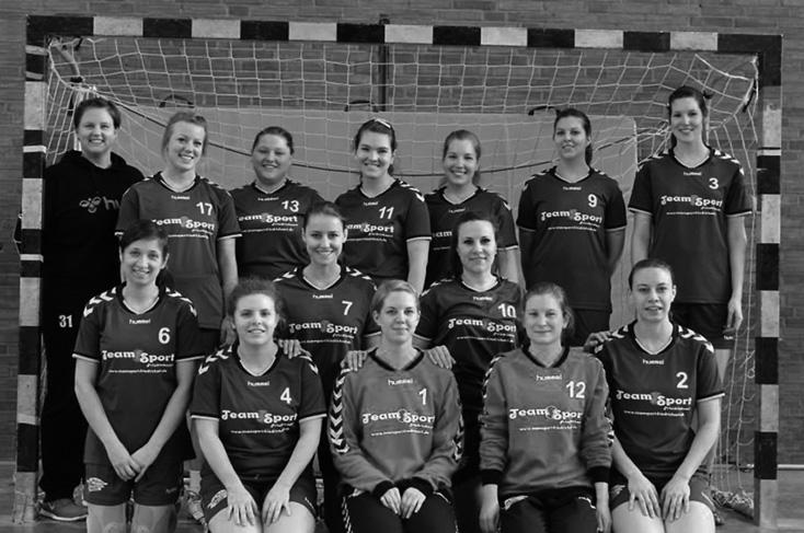 p Handballabteilung Stephan Reich Tel.: 53 23 785 Liebe Handballfreunde, die zweite Damenmannschaft des Wiker SV hat sich in der Saison 2013/14 zum ersten Mal dem Ligabetrieb gestellt.