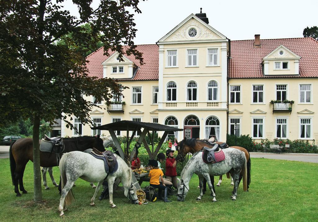 Musteranzeigen Katalog REITURLAUB Mecklenburg-Vorpommern 4/6 Anzeige Wenn Sie auch im Urlaub nicht auf Ihr eigenes Pferd verzichten möchten, dann nehmen Sie es doch einfach mit!