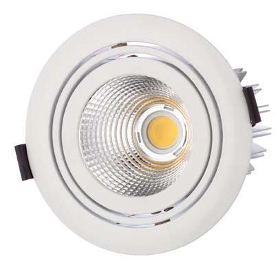 LED Einbauleuchten RIDL Downlights DOWNLIGHT RIDL 25W-2 700mA LED RIDL 25W-2 WW 700mA 1 x 25 Watt LED-Downlight 3000K 24 und 40 Abstrahlungswinkel Kardanisch schwenkbar Deckenausschnitt: 115 mm Ø
