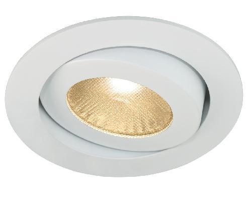 00 Dimmbar auf Anfrage (Dali oder 1-10 V) DOWNLIGHT RIDL 9W 500mA PREMIUM LED RIDL 9W WW 500mA PREMIUM LED 1 x 9 Watt LED-Downlight 3000K 35 Abstrahlungswinkel Ersetzt bis zu 50W Halogen-Downlight