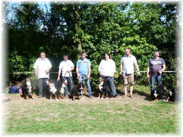 Die SSF-Hunde erzielten sehr gute Bewertungen. Hervorzuheben ist der 1. Platz in der Zuchtgruppe der Berner Sennenhunde.
