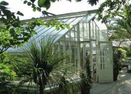 Restaurierung Das 1928 fertiggestellte Sukkulentenhaus ist ein Warmhaus für wasserspeichernde Pflanzen.