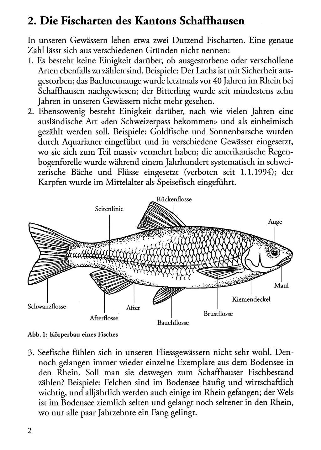 2. Die Fischarten des Kantons Schaffliausen In unseren Gewässern leben etwa zwei Dutzend Fischarten. Eine genaue Zahl lässt sich aus verschiedenen Gründen nicht nennen: 1.