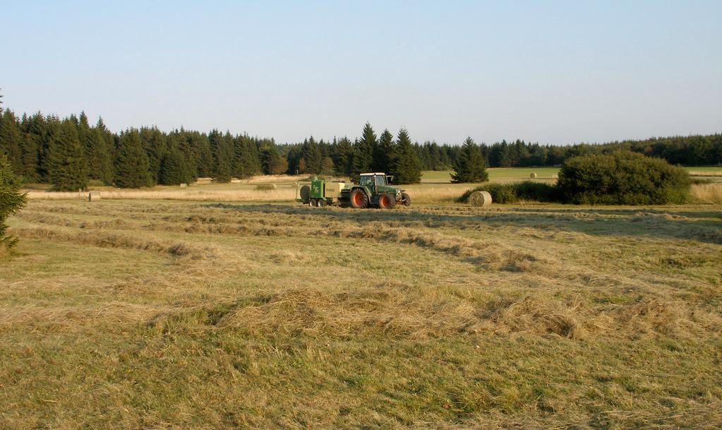 Biodiversität und Landschaftsgestaltung