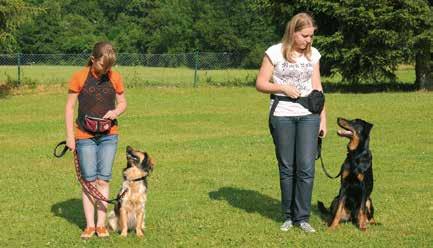 Wann beginnt die Hundeerziehung Durch enge Bindung, Vertrauen und liebevolle Erziehung werden Mensch und Hund zu einem guten Team.