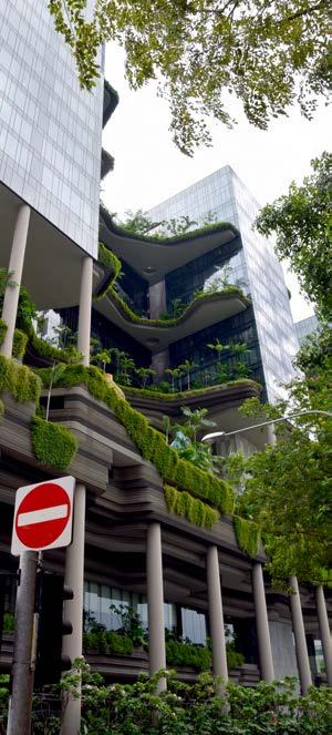 Grüne Großstadtarchitektur Singapur ist eine grüne Stadt. Gleichmäßig sind in der Stadt Grünflächen verteilt, ob im alten Kolonialviertel oder in neuen Stadtteilen.
