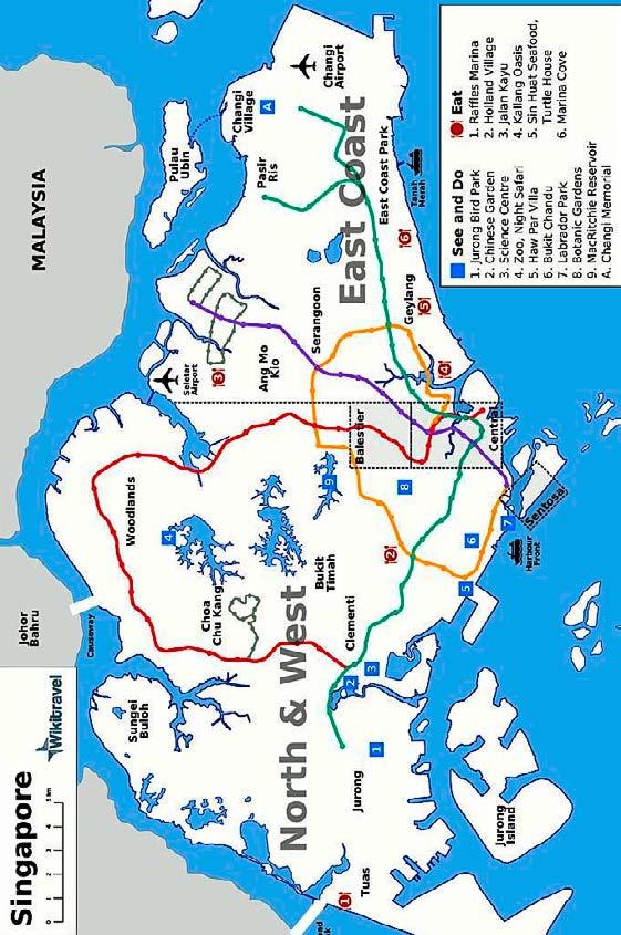 Leopard Karte liegt 3: Singapur faul auf einem MRT-Netz Ast und