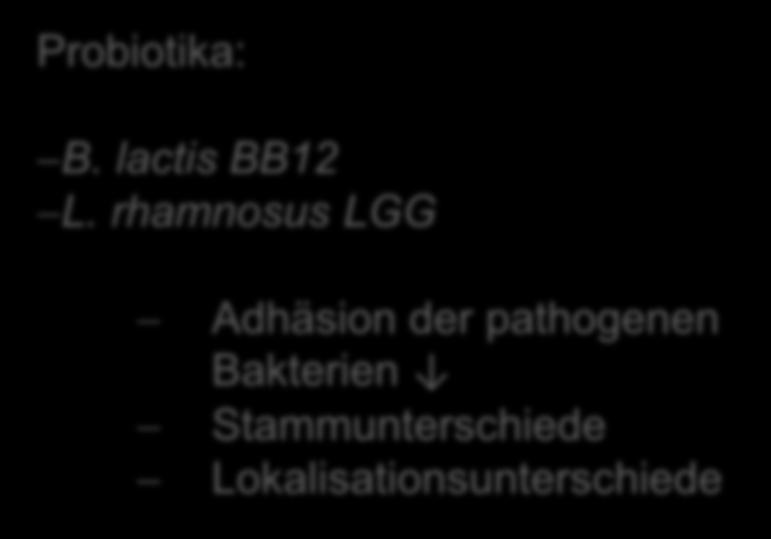 rhamnosus LGG Adhäsion der pathogenen Bakterien