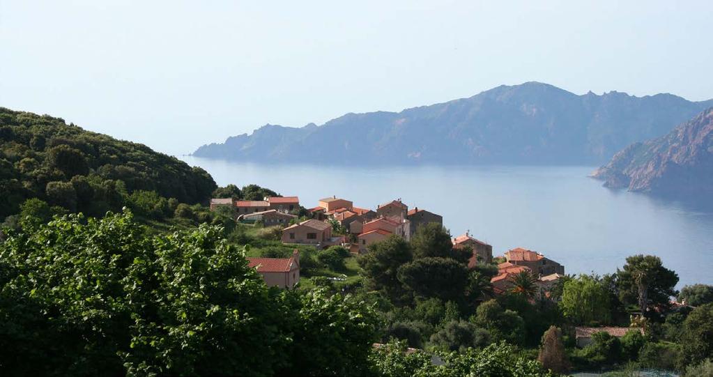 Immobilienprojekt Les MARINES de PALASCA Direkt am Plage de Lozari an der Nordwestküste Korsikas Das neu erschlossene Areal Les MARINES de PA- LASCA befindet sich nur einen Steinwurf weit entfernt