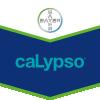 Calypso 480 g/l Thiacloprid Formulierung: SC (Suspensionskonzentrat) Suspensionskonzentrat gegen Schadinsekten im Obst-, Gemüse- und Zierpflanzenbau 024714-00 Gebinde 1 l Flasche Wirkungsweise