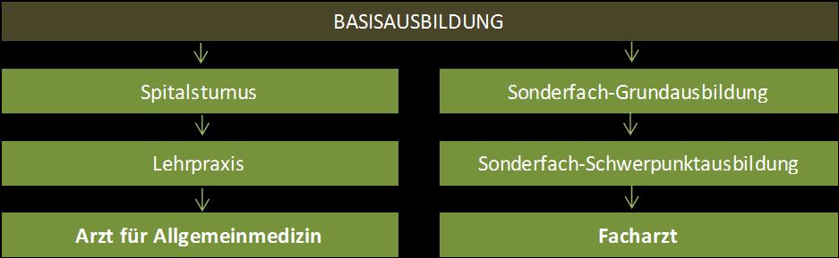 Abbildung 6: Ausbildungsstufen der neuen Ärzteausbildung 5.