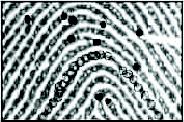 Fingerprint: Funktionsweise Sensortypen Optisch Kapazitiv Thermisch Ultraschall Druck Verfahren Pattern matching über das gesamte Bild