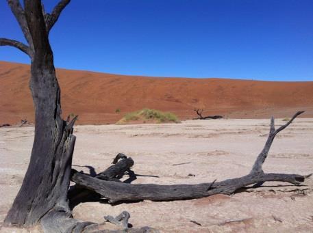 auf die Big Mama und zum Deadvlei Besuch des Sesriem Canyon Fahrt von der Namib Desert
