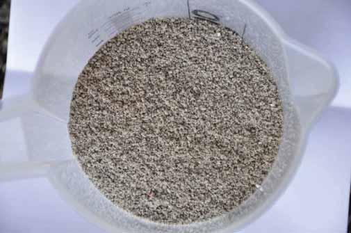 Variante 2 Ausbringung der Nematoden als Granulat, Ziel: 10 kg/ha Microsemstreugerät, Ausbringung des