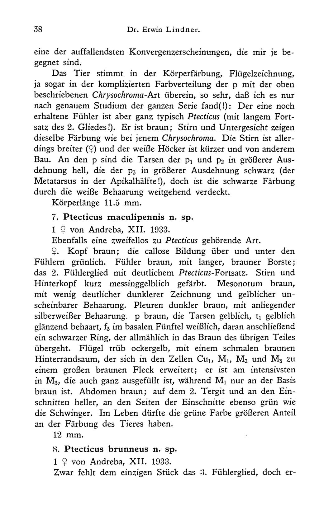 (S. Ptecticus brunneus n. sp. 1 $ von Andreba, XII. 1933. Zwar fehlt dem einzigen Stück das 3. Fühlerglied, doch erdownload unter www.biologiezentrum.at 38 Dr. Erwin Lindner.