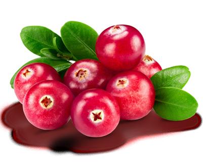 Der natürliche Pflanzenstoff in Orthomol Pro Cran Plus ist das Fruchtpulver der aus Nordamerika stammenden Cranberry.
