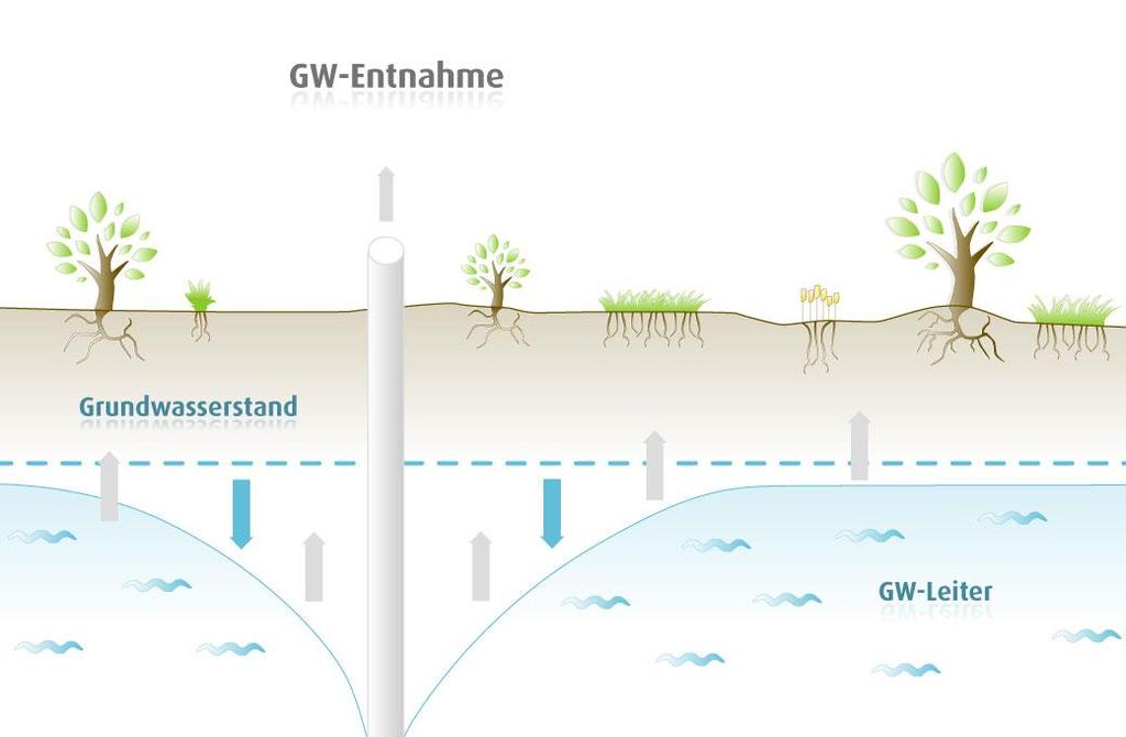 Wasserrecht Grund- und Quellwasser darf nur genutzt werden, wenn dafür ein sogenanntes Wasserentnahmerecht erteilt wurde.