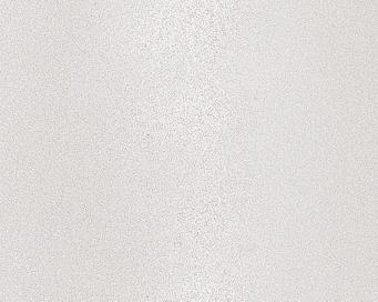 Randmarkierung bei Einlackierung von hellen Metallics (grauer Rand-Glitter-Effekt). Randzone zu trocken/nass lackiert. Falsche Spritztechnik benutzt. Zu hoher Spritzdruck.