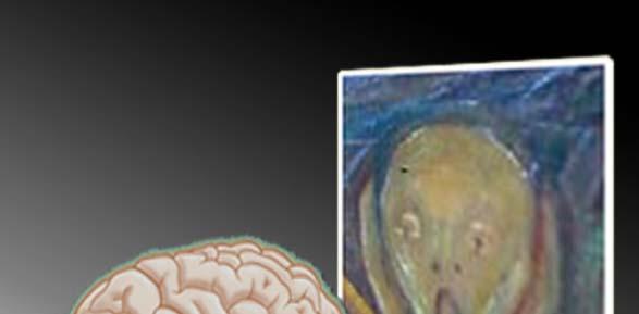 Modulierende Rolle der Amygdala Hippocampus Visuelles System Amygdala Die