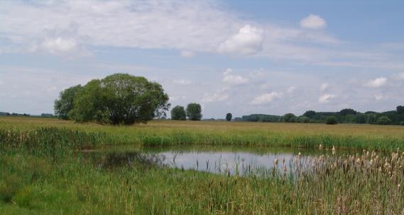 LIFE-Natur-Projektsteckbrief Gesamtfläche Schw. Donautal: ca. 40.000 ha Projektgebiet: 5 Teilgebiete, ca. 7.