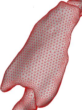 One condition for the mesh is that the angle is not sharp, which on the one hand facilitates convergence and which is helpful to generate the volume grid with high quality.