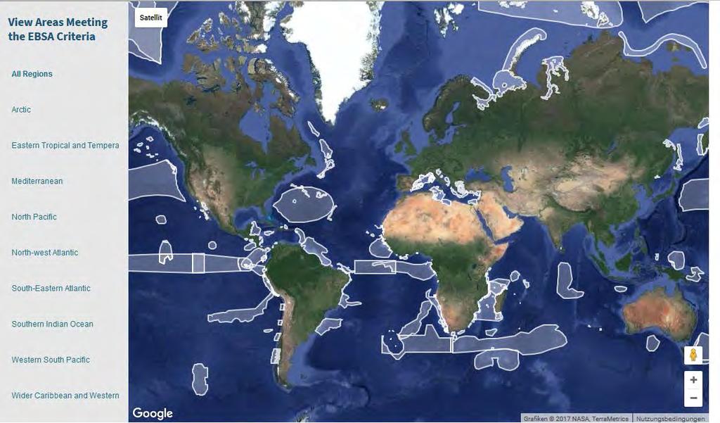 CBD & EBSAs in den Weltmeeren Ergebnisse von 9 der 12 regionalen