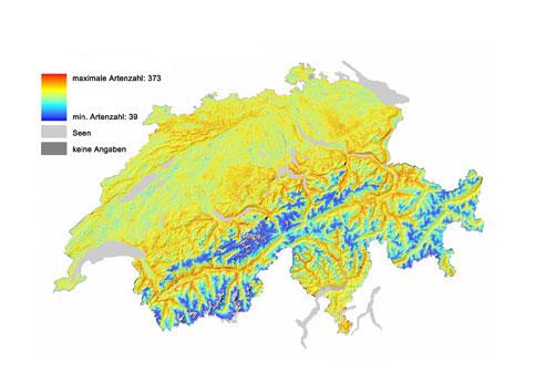 ARTENVIELFALT AU F EIN EN BLICK BDM-S PEZIALA USWE RTUNG Karte 2. Die Gefässpflanzen-Vielfalt der Schweiz.