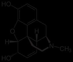 1. Einleitung 18 1.6 Opioide und deren Rezeptoren 1.6.1 Opioide a) b) Abb. 11: Strukturformeln von Morphium (a) und Methadon (b), beide in der S(-)-Konfiguration.
