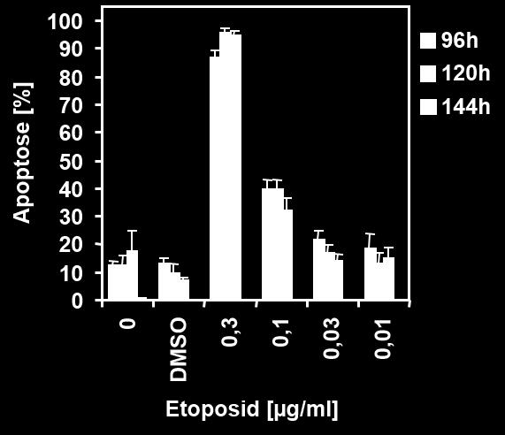 Schon in den Kurzzeitversuchen ließ sich für Etoposid-Konzentration von 0,3, 0,1 und 0,03 µg/ml eine deutliche Zunahme des apoptotischen Zelltodes messen.