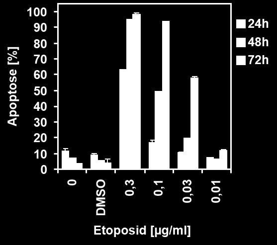 Während der Langzeitversuche lag der apoptotische Zelltod bei 0,3 µg/ml und 0,1 µg/ml Etoposid durchgehend bei über 90 % und sank erst bei den niedrigeren Etoposid-Konzentrationen