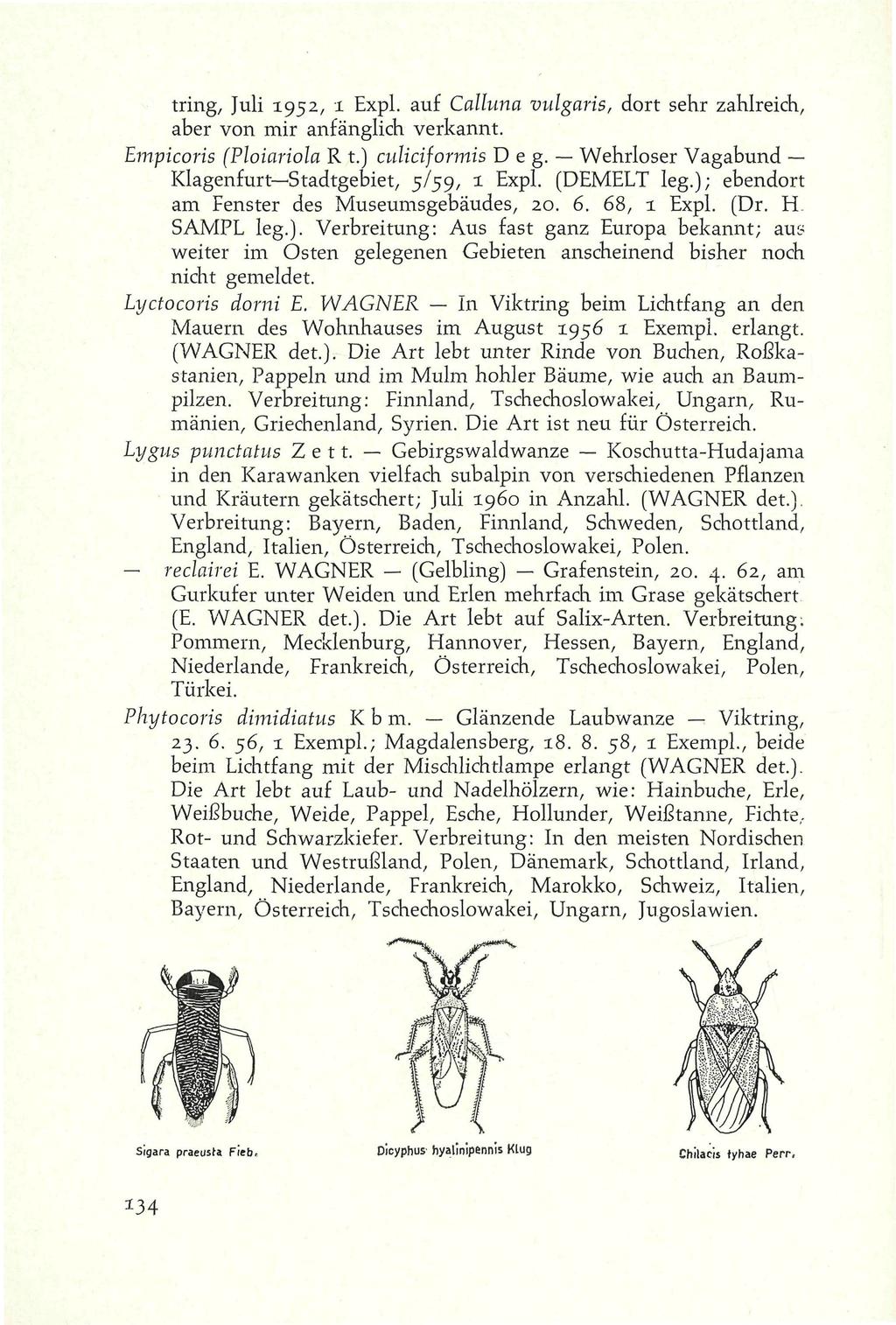 v tring, Juli 1952, 1 Expl. auf Calluna vulgaris, dort sehr zahlreich, aber von mir anfänglich verkannt. Empicoris (Ploiariola R t.) culiciformis D e g.