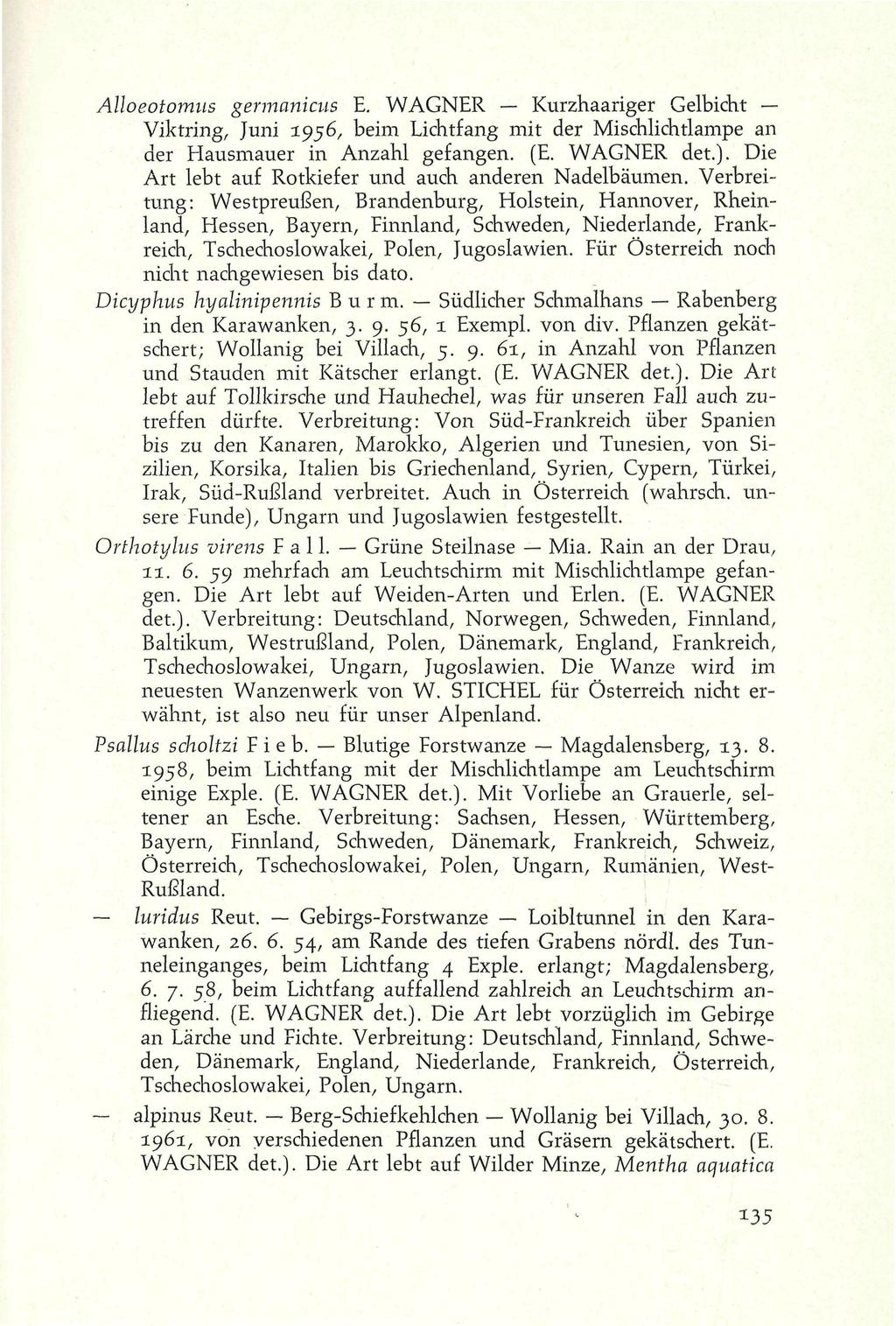 Alloeotomns germanicus E. WAGNER Kurzhaariger Gelbicht Viktring, Juni 1956, beim Lichtfang mit der Mischlichtlampe an der Hausmauer in Anzahl gefangen. (E. WAGNER det.).