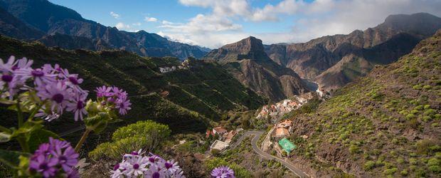 AIDAprima: Einmal Frühling und zurück 8 Tage Kreuzfahrt: Las Palmas/Gran Canaria - Funchal/Madeira - Santa Cruz de Tenerife/Teneriffa - Puerto del Rosario/Fuerteventura - Arrecife/Lancarote - Las