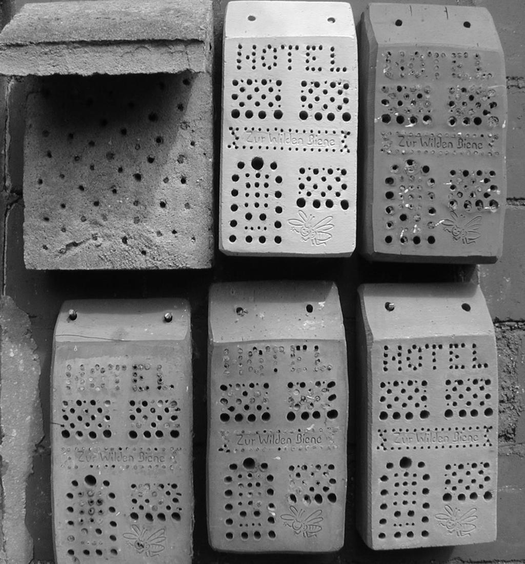 - 62 - Niststeine für Wildbienen: Seit einiger Zeit werden vermehrt Niststeine aus gebranntem Ton oder Holzbeton angeboten (Bezugsquellen siehe Anhang).