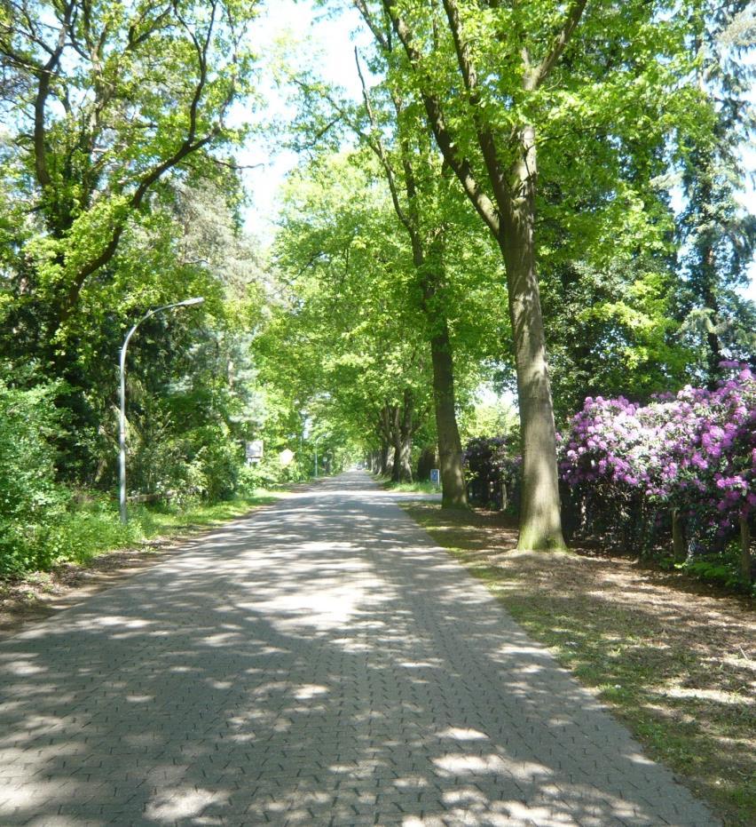 E 1.6 Umgestaltung Voßbergweg und Dorfstraße Gesamtkosten und mögliche Förderung Brutto Summen Beantragte Förderung nach