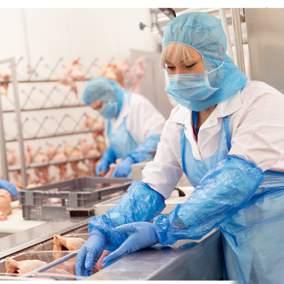 Gleichzeitig darf ein Geflügelmäster, der für die Stauss Geflügel GmbH tätig ist, nie mehr als 9.600 Tiere gleichzeitig aufziehen.