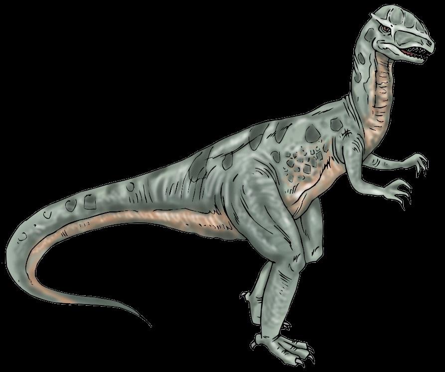 Vermutlich ist der Camarasaurus in Herden umhergezogen. Er lebte während der oberen Jurazeit.