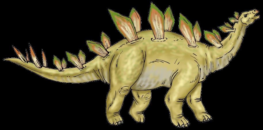 Stegosaurus Infokarte 9 Der Stegosaurus hatte einen kleinen, schlanken Kopf mit Hornschnabel, zwei Reihen Knochenplatten vom Hals bis zur Schwanzwurzel und vier spitze Stacheln am