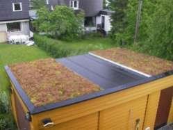 Decentralized Stormwater Management Role of Green Roofs