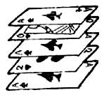 Der Trick: Das Deck besteht aus 52 Karten. Die Hälfte davon sind allesamt Herz 9. Alle Herz 9 -Karten sind zudem um 1,5 mm kürzer als die andere Hälfte des Kartendecks.