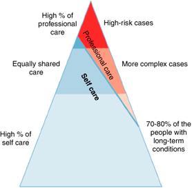 Konzeption 2: Im Rahmen des «Kaiser Triangle» Selbstmanagement Disease Management Case Management Case/Care Management Disease Management z.b. www.evivo.