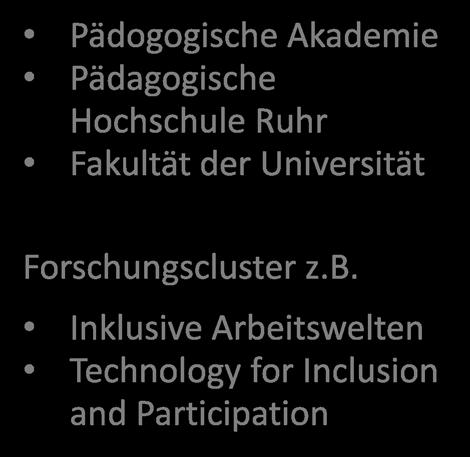 PROJEKTPARTNER TU Dortmund Fakultät Lehrstuhl Wandel Pädogogische Akademie Pädagogische Hochschule Ruhr Fakultät