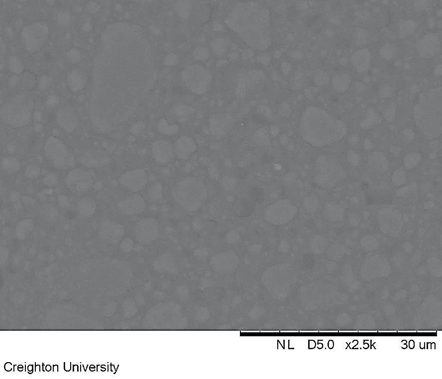 NL D 5,2 x 2,5k 30 µm Abb. 33 REM-Aufnahme (in 2.500-facher Vergrößerung) von ceram.x nach allgemeinem Verschleiß (Latta, M. A., 2015) Die verschlissene Oberfläche von ceram.x (Abb.