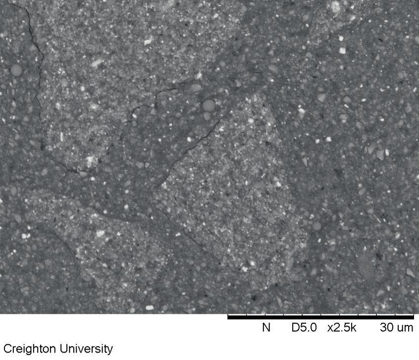 NL D 5,0 x 2,5k 30 µm Abb. 35 REM-Aufnahme (in 2.500-facher Vergrößerung) von Tetric EvoCeram nach allgemeinem Verschleiß (Latta, M. A., 2015) Im Gegensatz dazu sind auf der verschlissenen Oberfläche von Tetric EvoCeram in Abb.