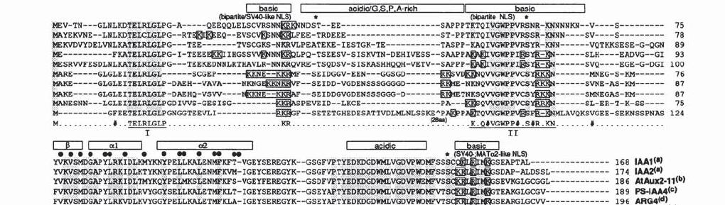 Domain Structure of