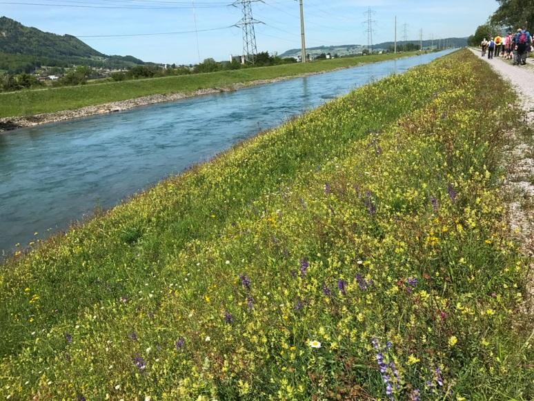 der Strom der Berge muss halt auch