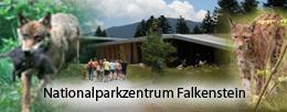 Eintritt 4,00 ganzjährig G 39 Bayerwald Tierpark Lohberg