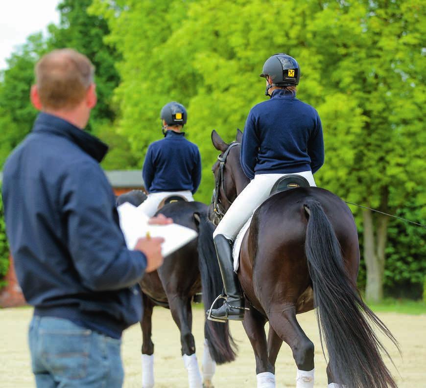 PFERDEAUSBILDUNG BEIM HANNOVERANER VERBAND HORSE TRAINING AT THE HANNOVERANER VERBAND Professionelle Pferdeausbildung TRAINING Herzlichen Glückwunsch!