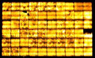 Photovoltaik-Anlage: 6 Abbildung 5: zeigt die DaySy-EL eines Moduls mit einem gebrochenen Zellverbinder: Der große dunkle Bereich im EL-Bild.