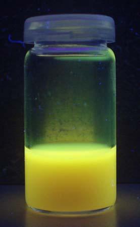 Die Dispersionen zeigen eine leicht rosafarbene Färbung und deutliche Fluoreszenz im UV-Licht. Abbildung 4.